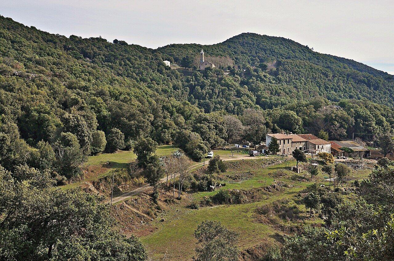Hortsavinyà: An Offline Forest Day in the Montnegre