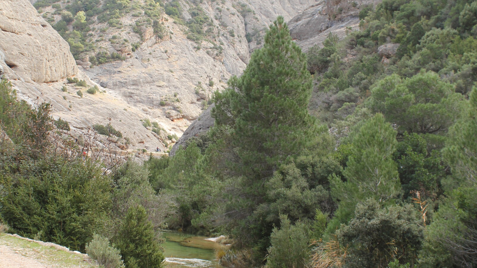 Clear river winding between pine trees and pale cliffs at Els Estrets near Arnes